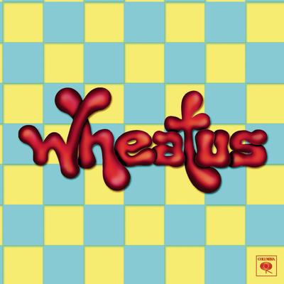 Teenage Dirtbag By Wheatus's cover