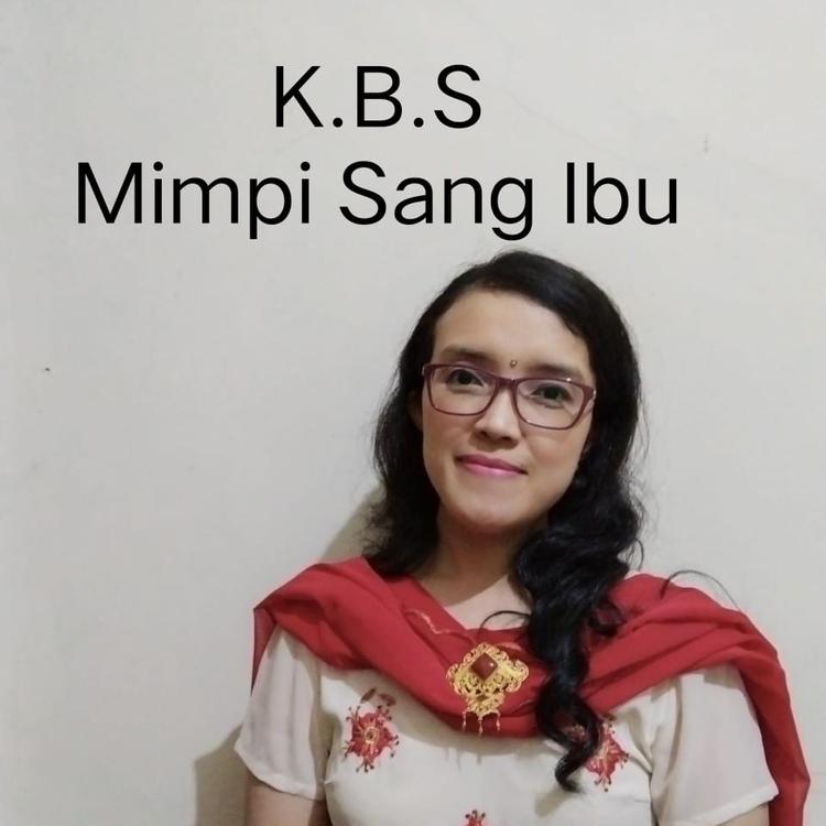 K B S's avatar image