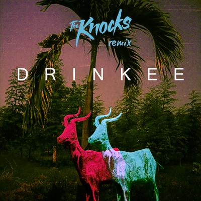 Drinkee (The Knocks Remix) By Sofi Tukker's cover
