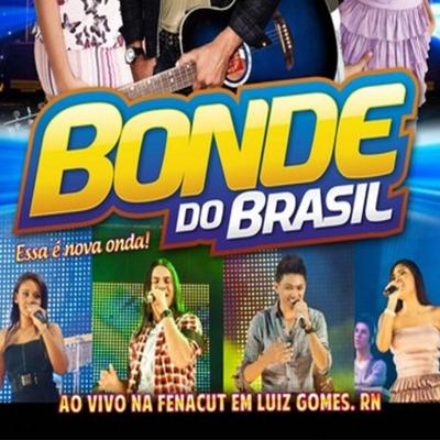 Boa Sorte pra Você (Ao Vivo) By Bonde do Brasil's cover