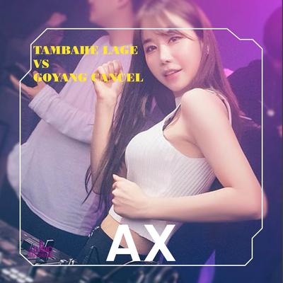 TAMBAHE LAGE VS GOYANG CANCEL (Remix)'s cover