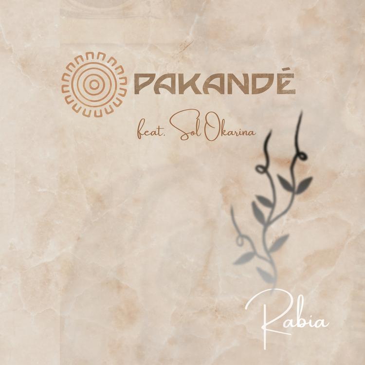 Pakandé's avatar image