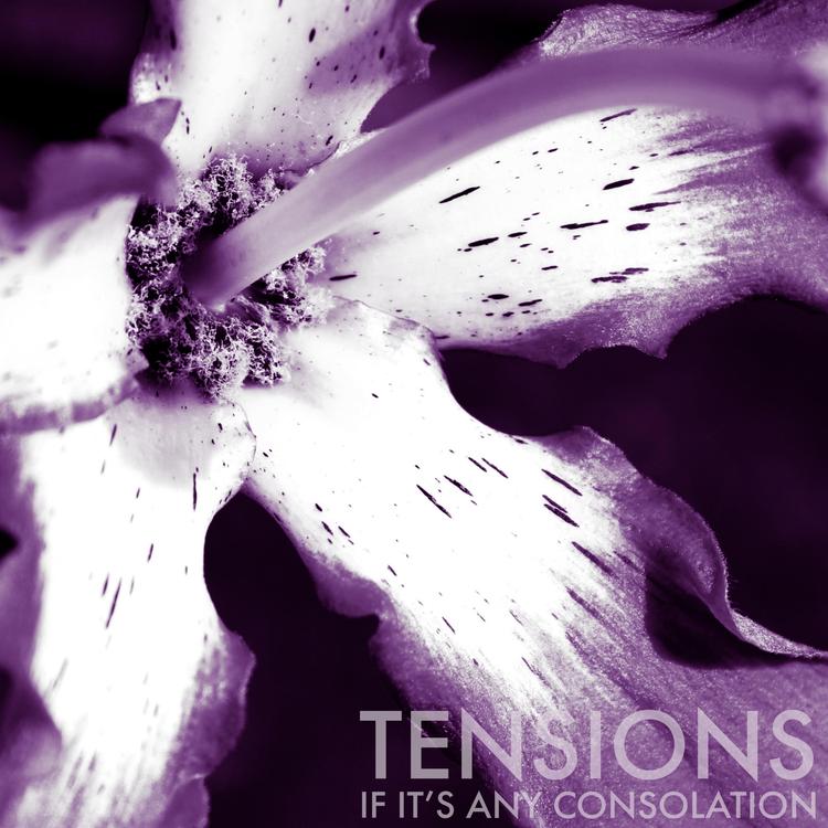 Tensions's avatar image