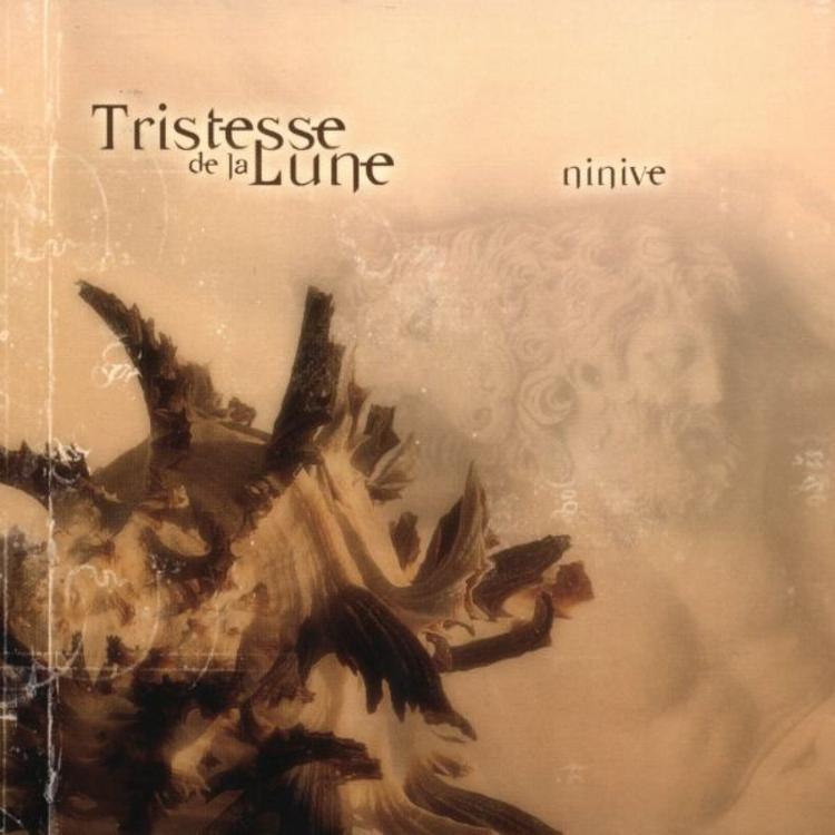 Tristesse de la Lune's avatar image