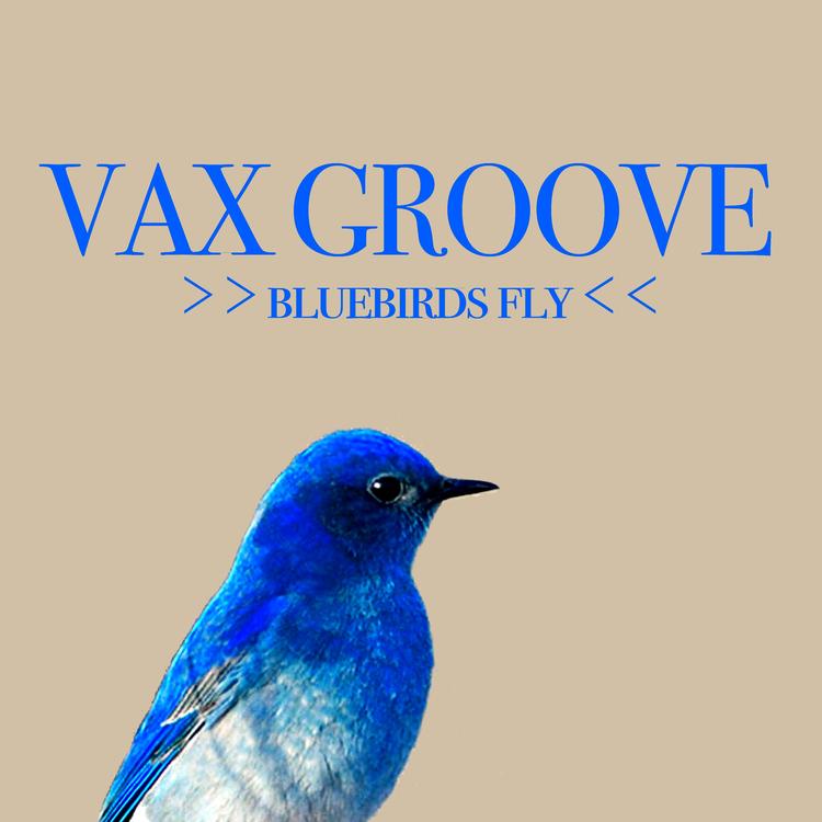 Vax Groove's avatar image