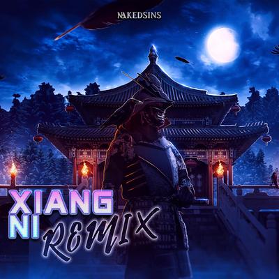 Xiang Ni (Remix)'s cover