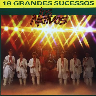 Chimarrita Sem Fronteira By Os Nativos's cover