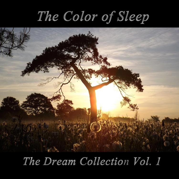 The Color of Sleep's avatar image