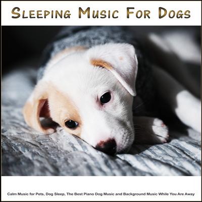 Sleeping Music for Dogs: Calm Music for Pets, Dog Sleep, The Best Piano Dog Music and Background Music While You Are Away's cover