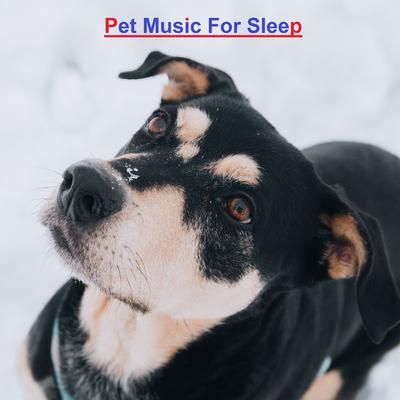 Pet Music For Sleep's cover