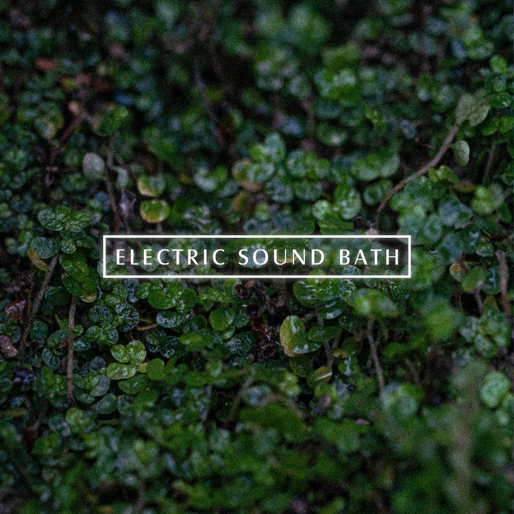 Electric Sound Bath's avatar image