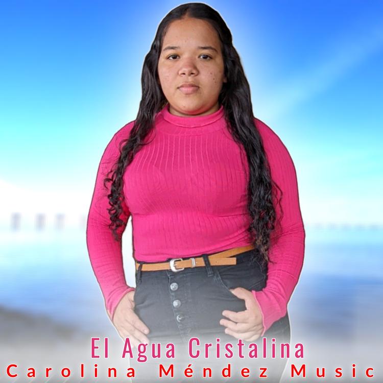 Carolina Mendez Music's avatar image