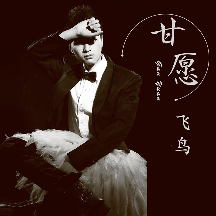 飞鸟's avatar image