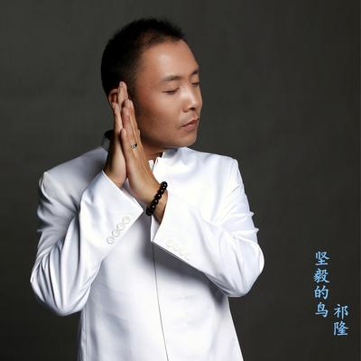 坚毅的鸟's cover