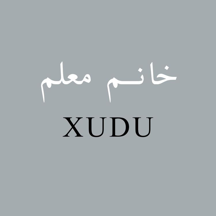 XUDU's avatar image