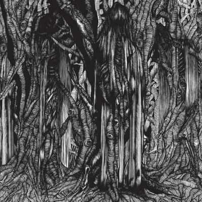 It Took the Night to Believe By Sunn O)))'s cover