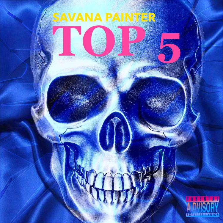 Savana Painter's avatar image