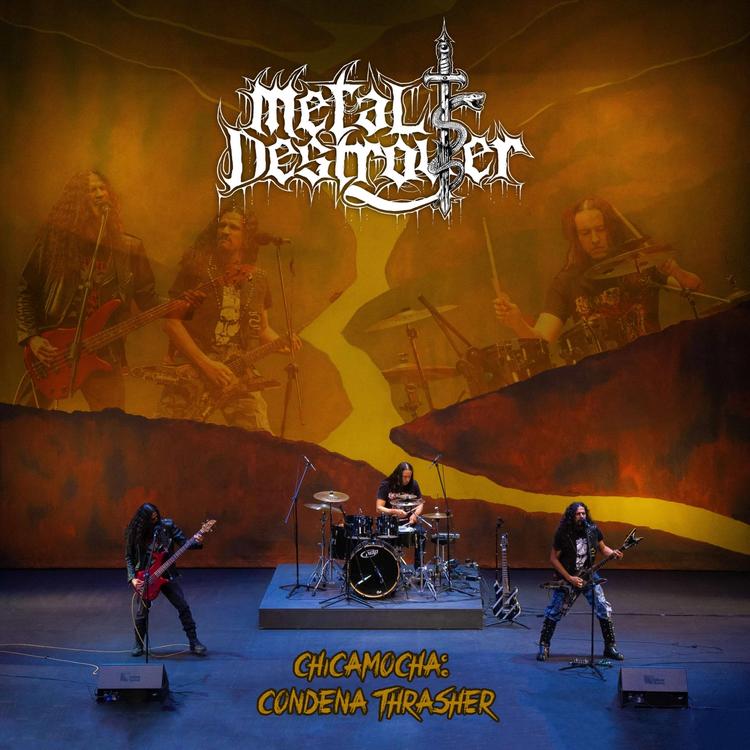 Metal Destroyer's avatar image