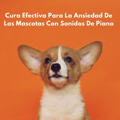 Tonos Tranquilos Para Mascotas Inquietas's cover