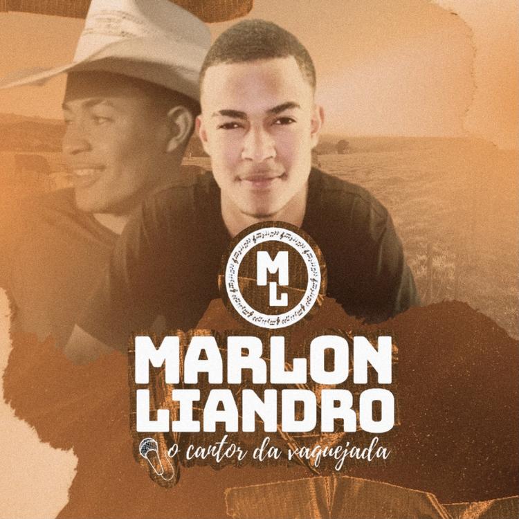 Marlon Liandro's avatar image
