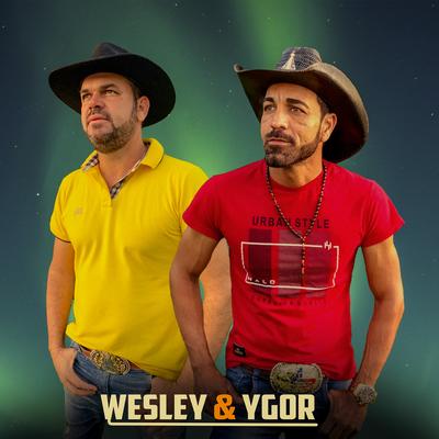 Me Perdoe Amor By Weslley e ygor's cover
