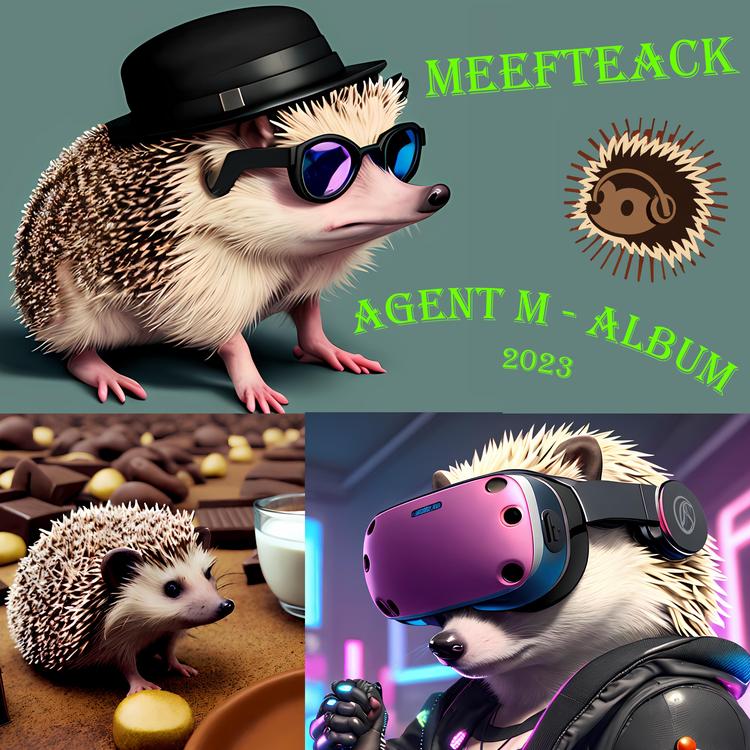 Meefteack's avatar image