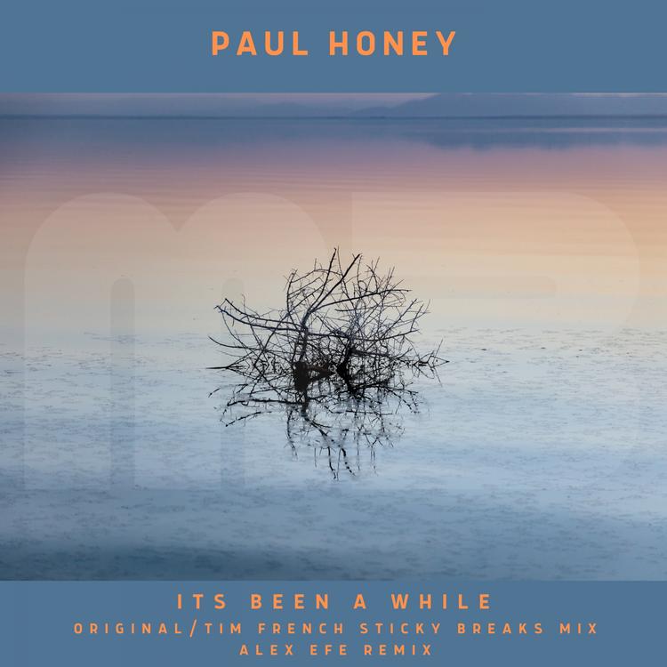 Paul Honey's avatar image