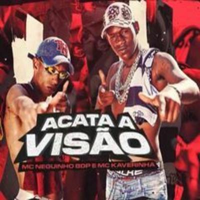 Acata a Visao By MC Neguinho BDP, Mc Kaverinha's cover