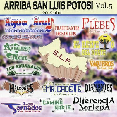 Arriba San Luis Potosi, Vol. 5's cover