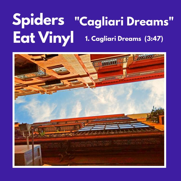 Spiders Eat Vinyl's avatar image