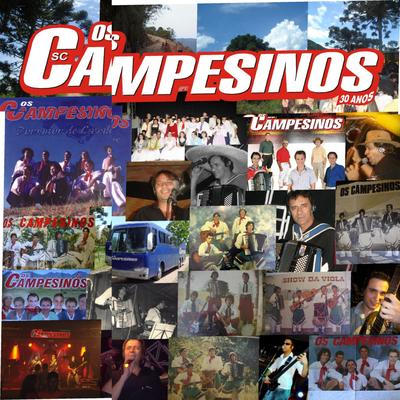 O Frio da Serra By Os Campesinos SC's cover