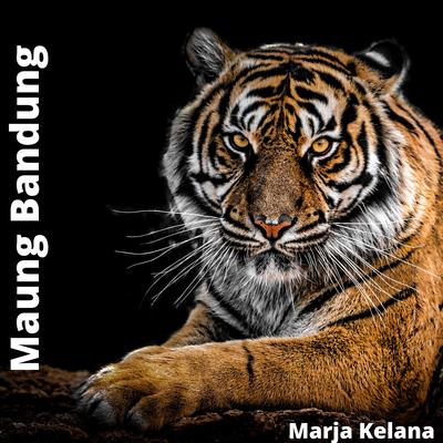 Maung Bandung By marja kelana's cover