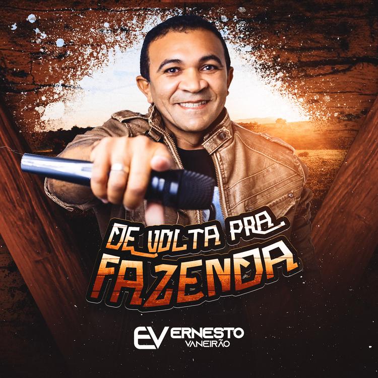 Ernesto Vaneirão's avatar image