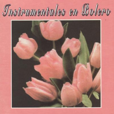 Instrumentales en Bolero's cover