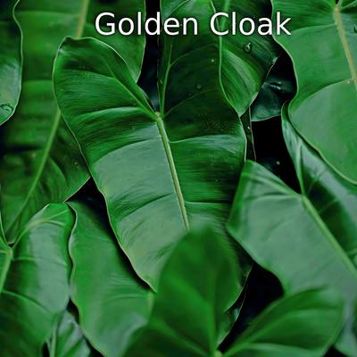 Golden Cloak's cover