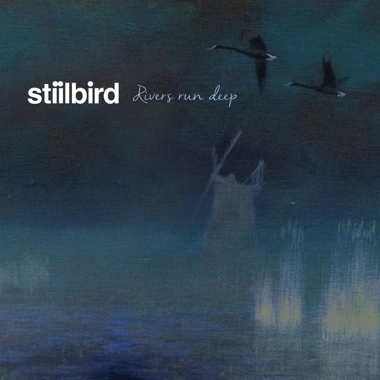 Stiilbird's avatar image