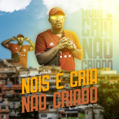 Nois É Cria e Não Criado By MC Pelourinho, Dj Marquinhos tm's cover