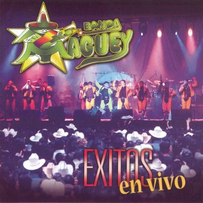 Exitos En Vivo's cover