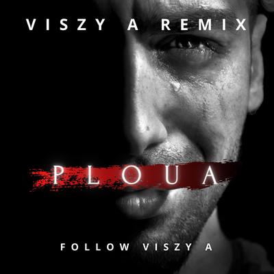 Ploua (Viszy A Remix)'s cover