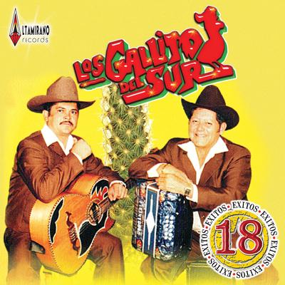 18 Exitos - Silvano Martinez's cover