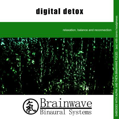 Disconnecting By Brainwave Binaural Systems's cover