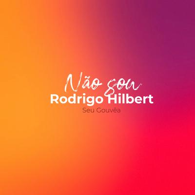 Não Sou Rodrigo Hilbert's cover