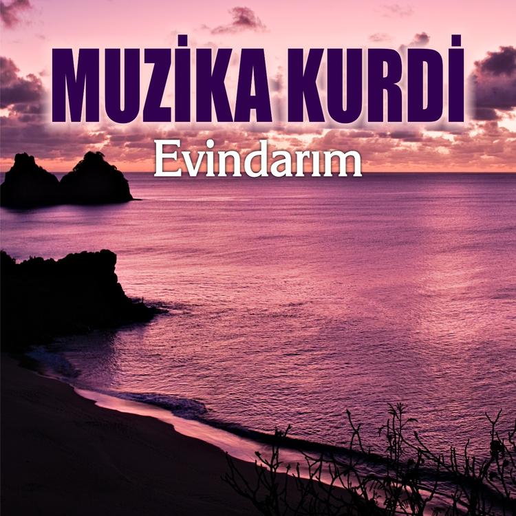 Muzika Kurdi's avatar image