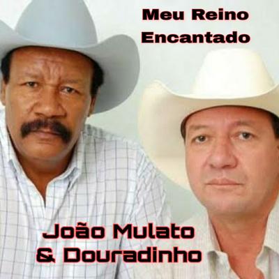 Meu Reino Encantado's cover