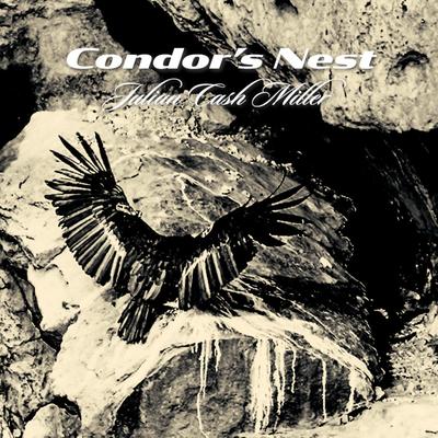 Condor's Nest's cover