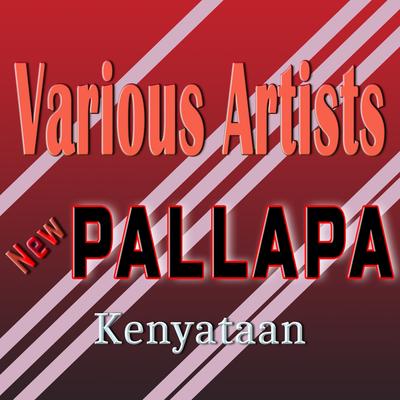New Pallapa Kenyataan's cover