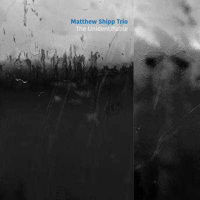 Trance Frame By Matthew Shipp Trio's cover