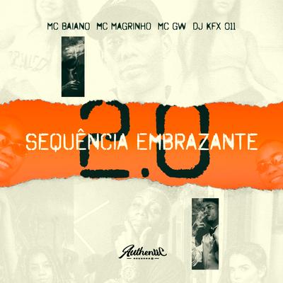 Sequência Embrazante 2.0's cover