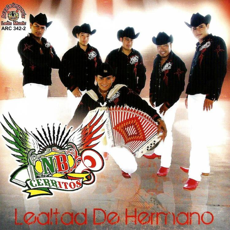 Norteno Banda Cerritos's avatar image