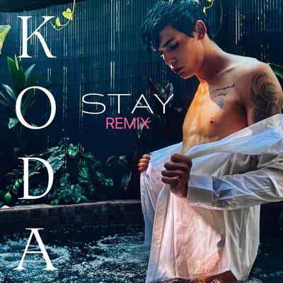 Stay (Remix)'s cover